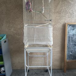Bird Cage