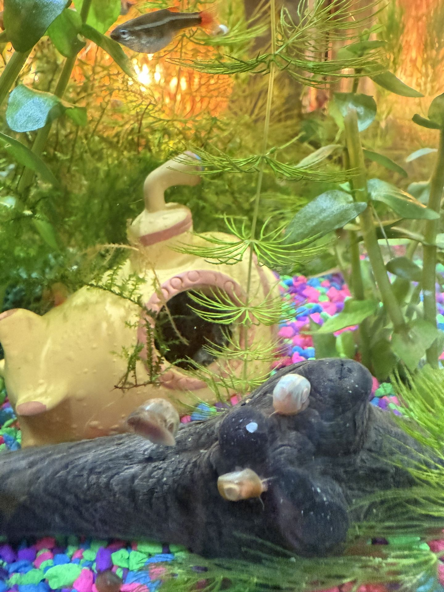 Fish Tank Decorations Toys Aquarium Decorations Fish Tank Plants