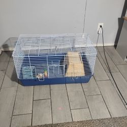 Guinea Pig Cage And Accessories 