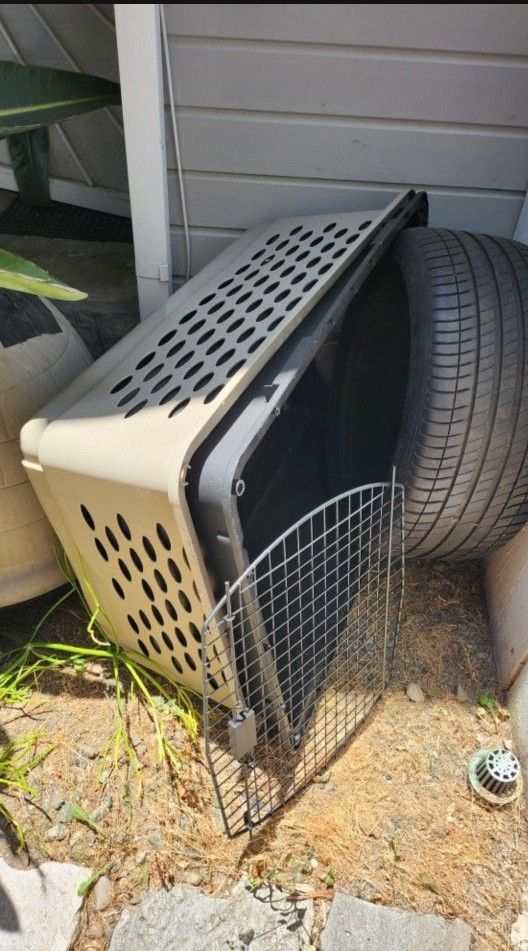 Giant Dog Kennel