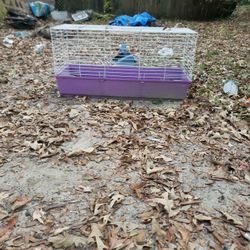 Wide Long Animal Cage. Made For Guineapig Or Rabbit Or Ferret