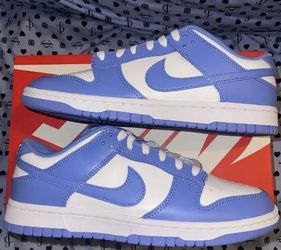 Nike Dunk Low “polar Ice “ Men’s 9.5