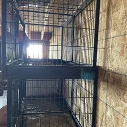 Dog Cages 