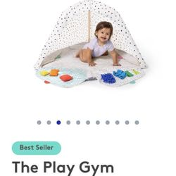 Play Gym/tent