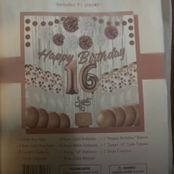 16th BDay Party Supplies