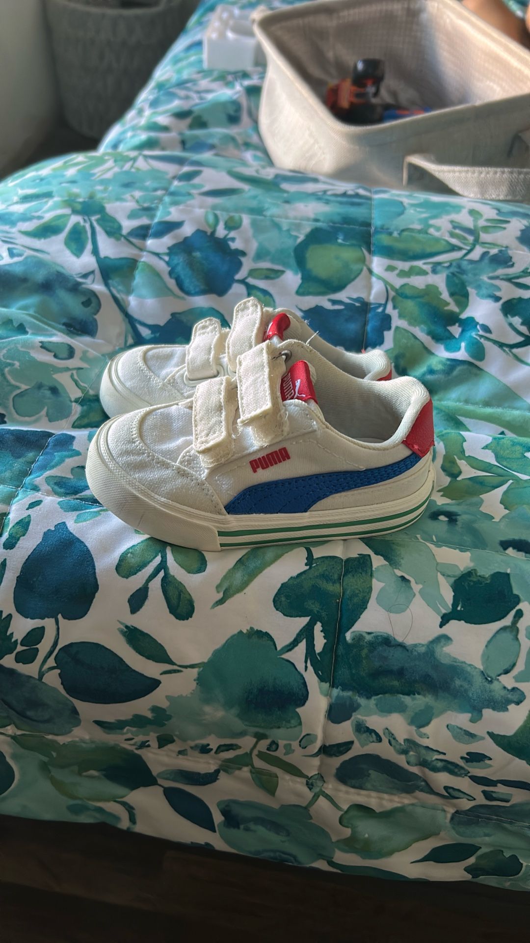 Puma