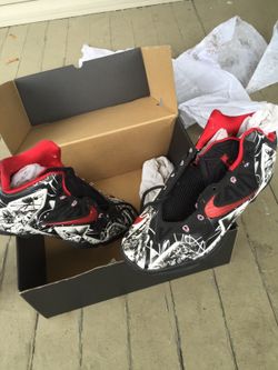 10/10 condition graphite lebrons size 11