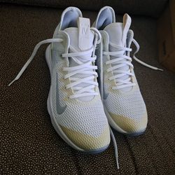 LEBRON WITNESS IV TB
| SIZE MENS 10.5