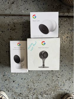Google nest cameras