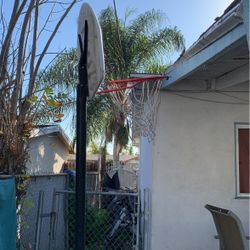 Lifetime Basketball Hoop 