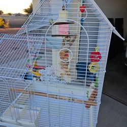 Bird Cage 
