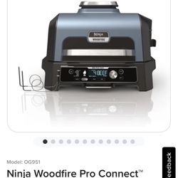 Ninja Wood Fire XL Pro Connect 