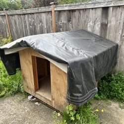 Dog House