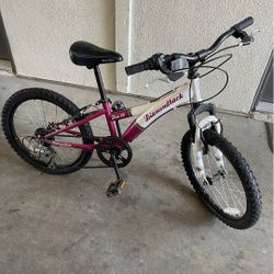 Diamondback Tess 20 youth mountain bike 