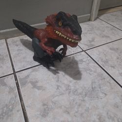 Piro Raptor Toy