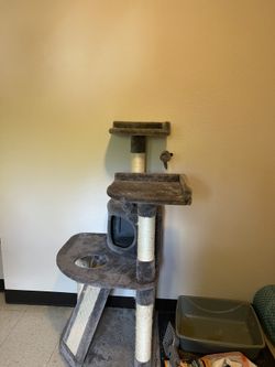 Used Cat Scratching Post