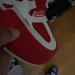 Lv Skates 