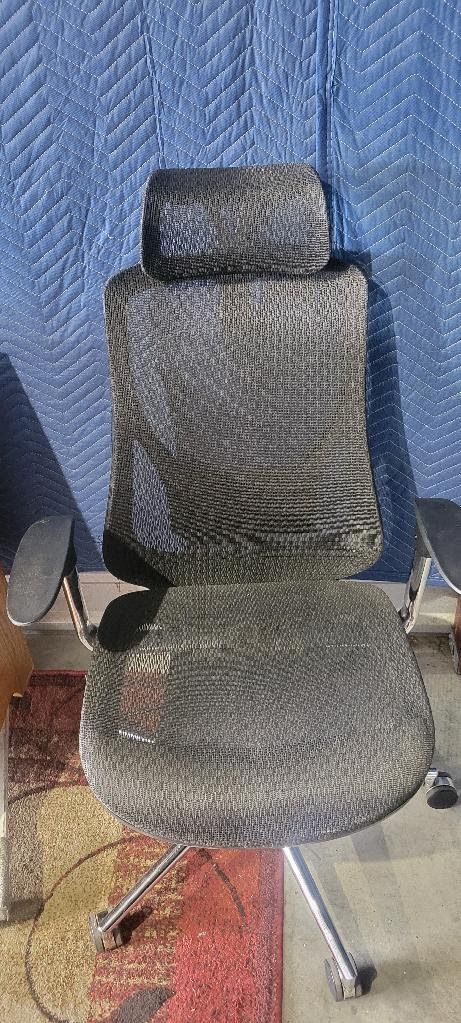 Newer Ergonomic Office Chair (DELIVERY AVAILABLE)
