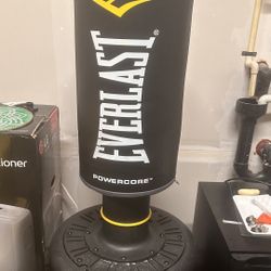 Everlast Punching Bag 