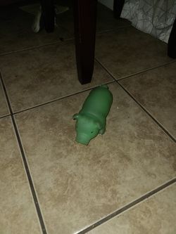 A. Pig