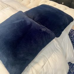 Pair Of Pier 1 Imports Decorative Pillows 