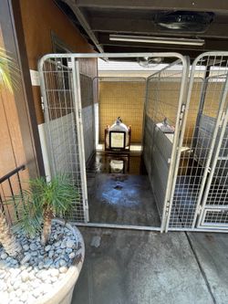 kennels