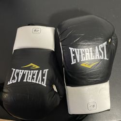 Everlast MX Boxing Gloves 