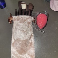 Makeup Brushes + Sponge