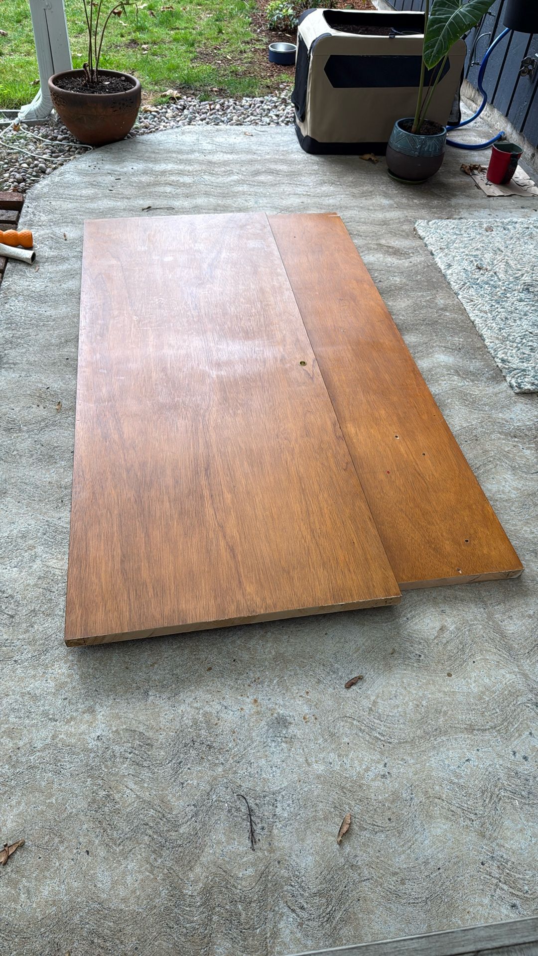 Free - Two Closet Doors