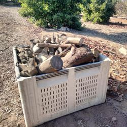 100$ Bin Of Firewood