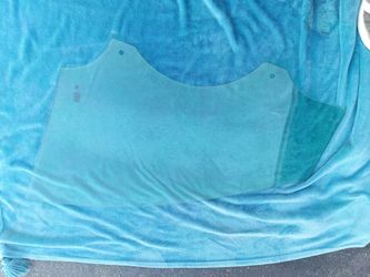 2010 Ford focus hatch passenger window