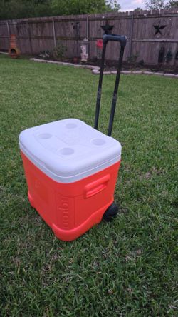 Cooler