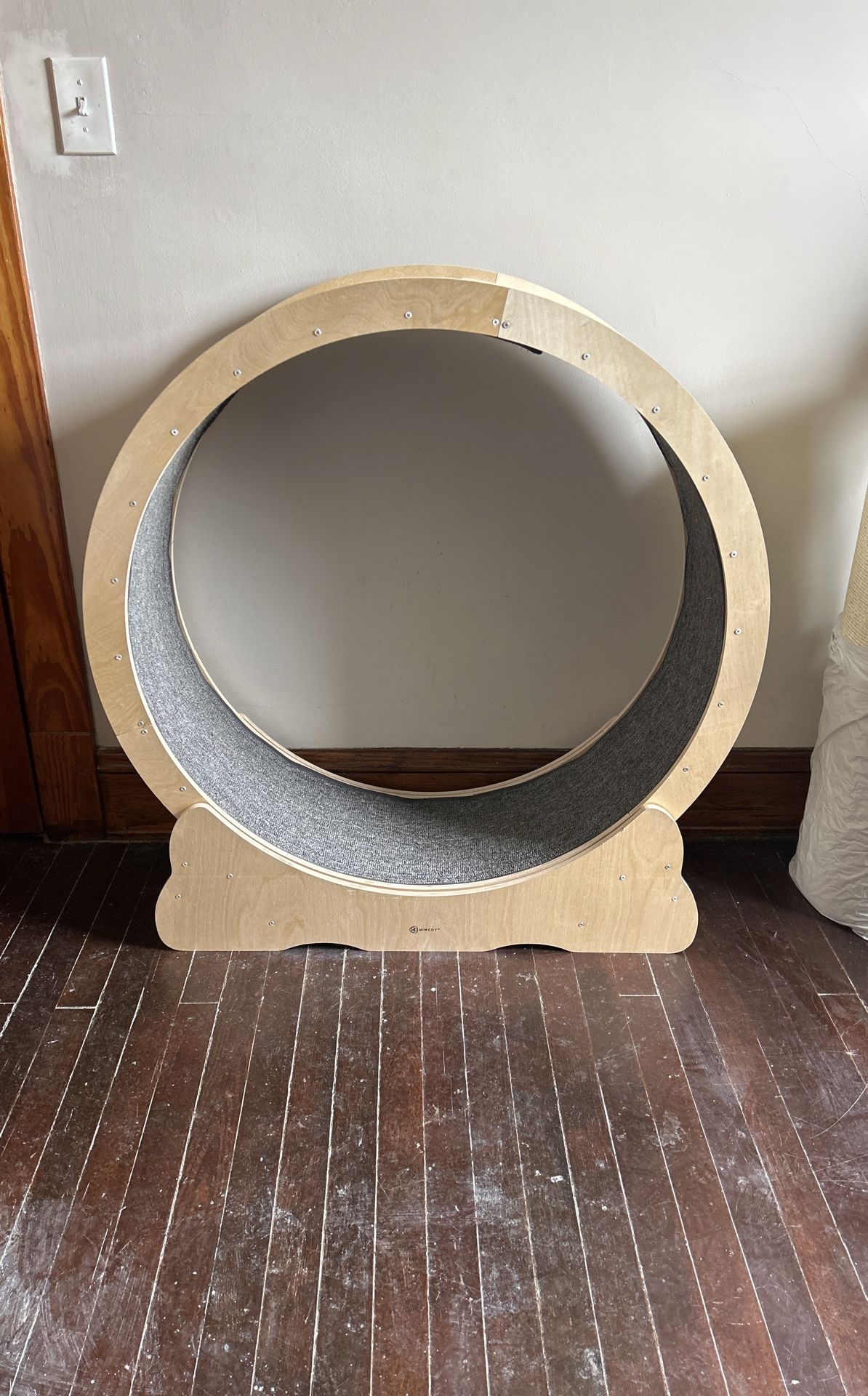 Cat Wheel