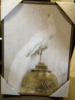 Bird Wall Art 