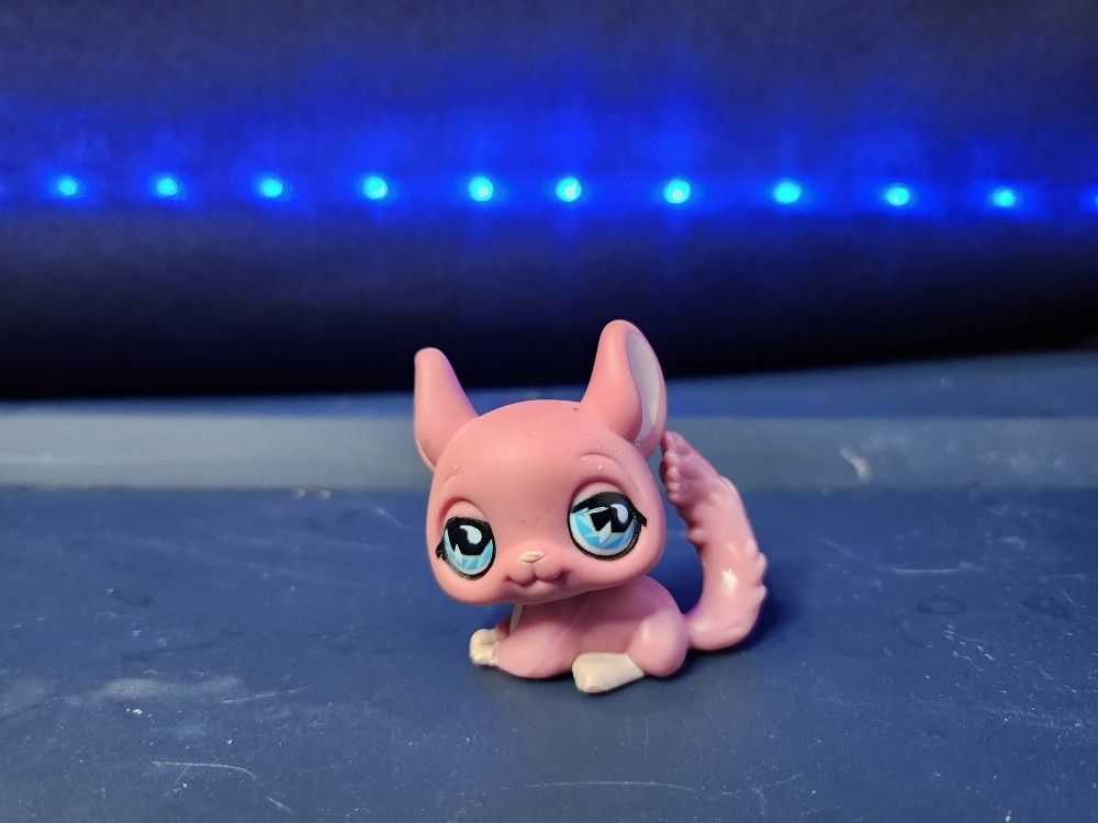 Chinchilla LPS #599 | Authentic Littlest Pet Shop