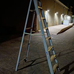 8 Ft Werner Ladder