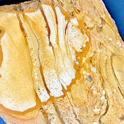 Blue Mustang Owyhee Picture Jasper, Oregon High Quality Cab Stone Slab Slice 3oz