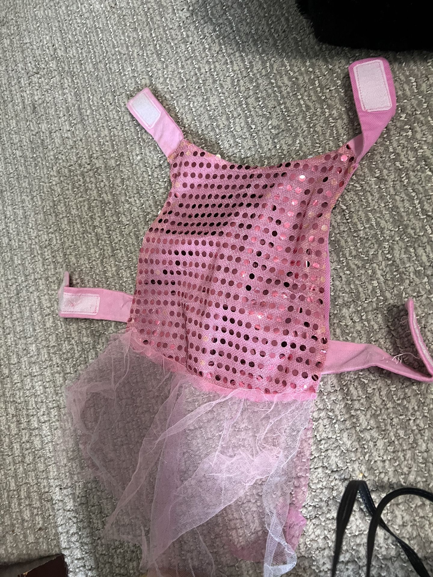 2 Costumes for Small Dogs. (dog Not Included)