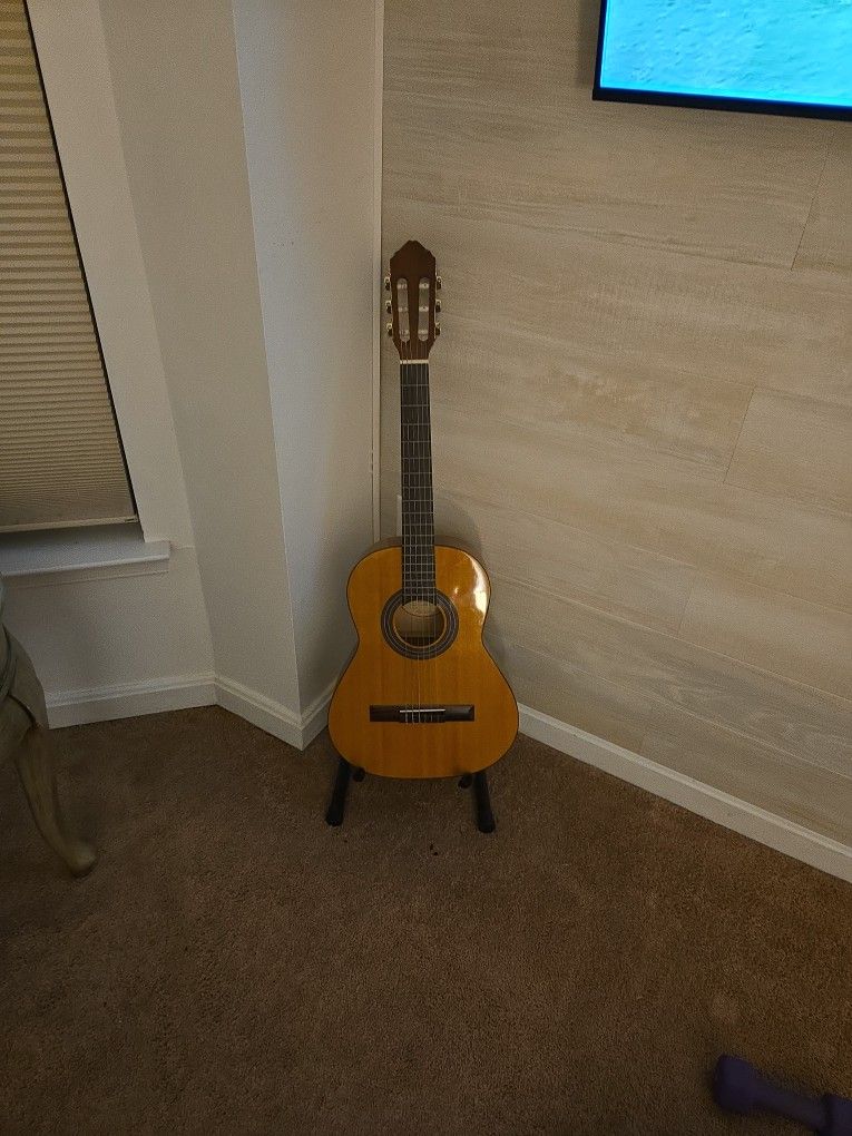 Guitar