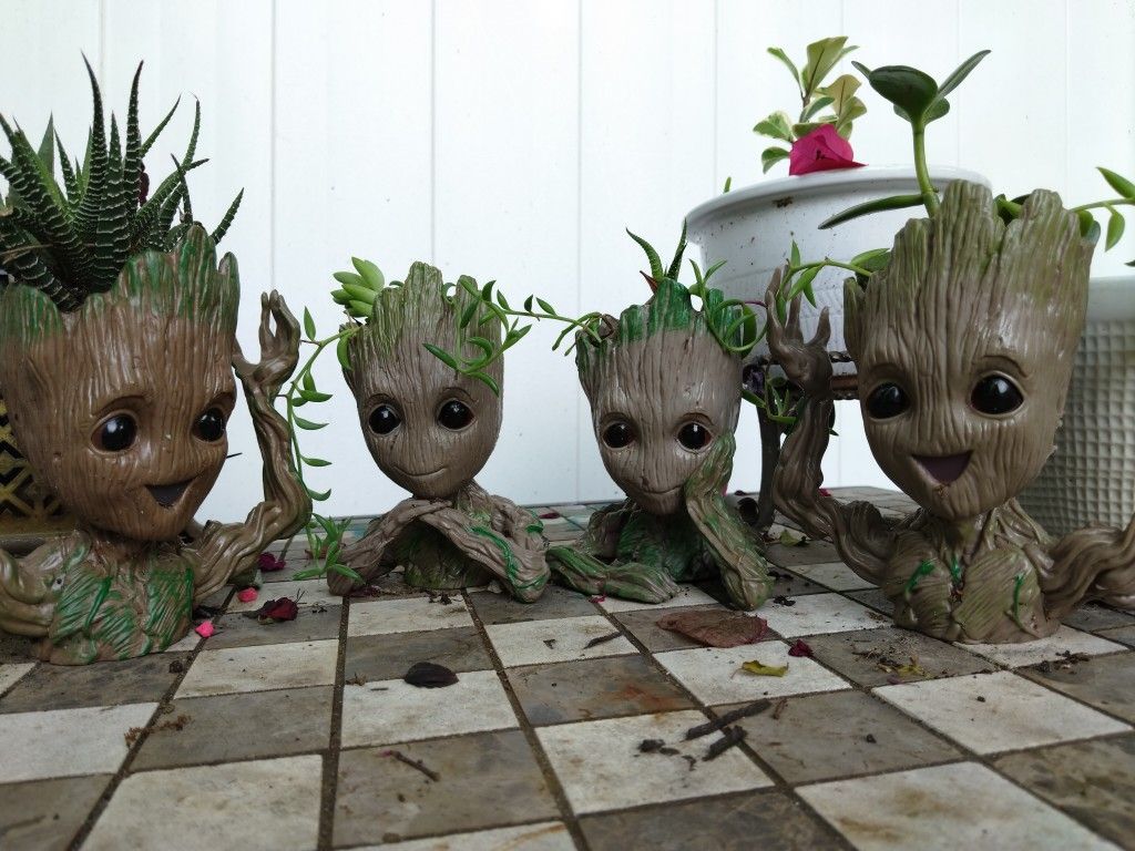 Succulent House Plants In Baby Groot Planters 