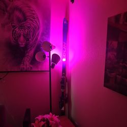 Pair Of Skis By Olin 