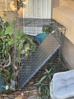 Giant Dog Cage