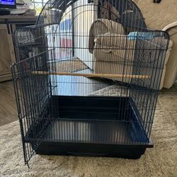 Bird Cage
