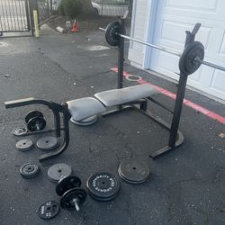 Weight Bench