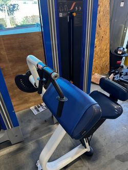 Precor Bicep And Tricep Weight  Machine 