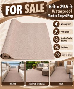 Indoor/outdoor Carpet