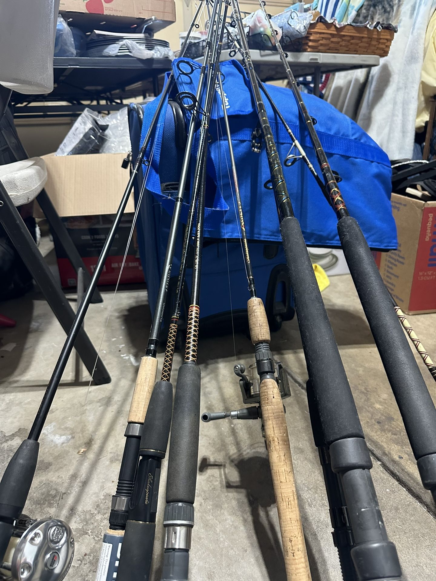 fishing rods and reels