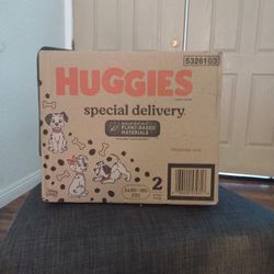 Huggies Special Delivery Size 2