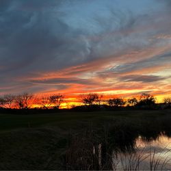Pictures of sunset from Madera Canyon and wild baby pygmy goat