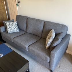 3 Person Couch With Match Pillows 